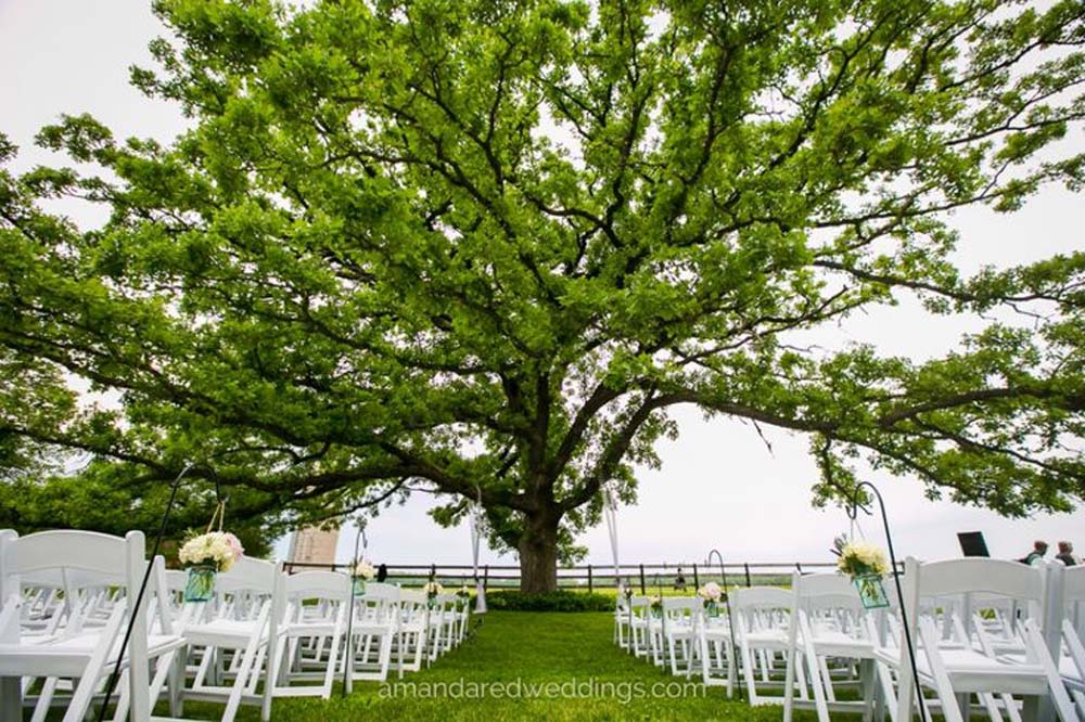 wedding oak tree